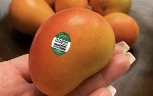 Trademarked Fruit: Goldenberry Farms Sweet Sugar Mango
